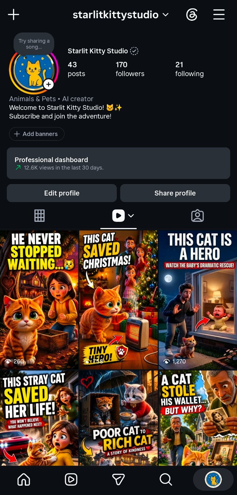 Instagram - 170 Followers | USA Audience | Ai Cat Story