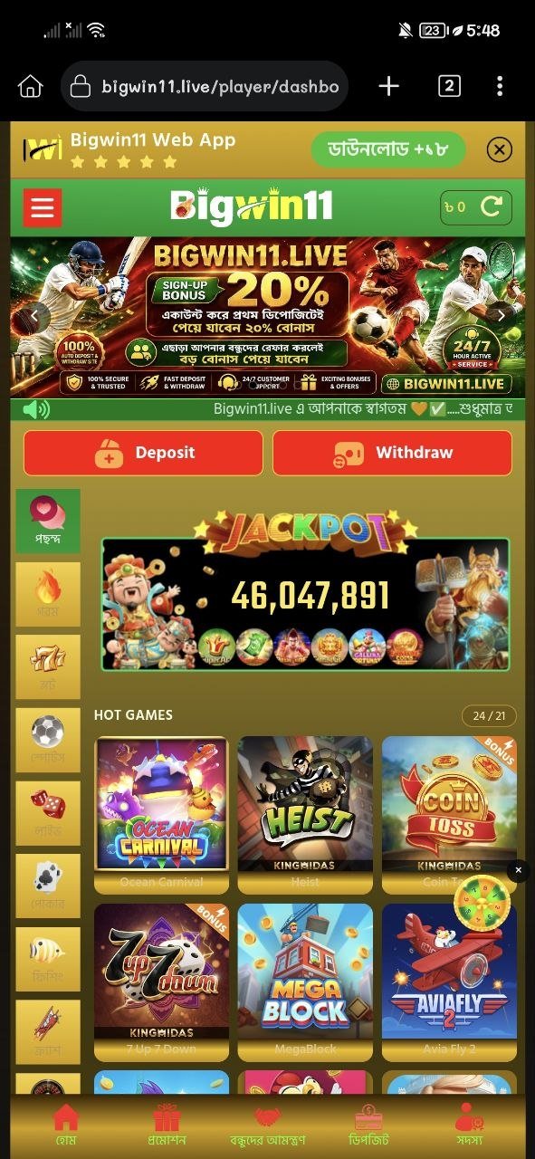Professional Betting & Gaming Web App Bigwin11 with Master Admin