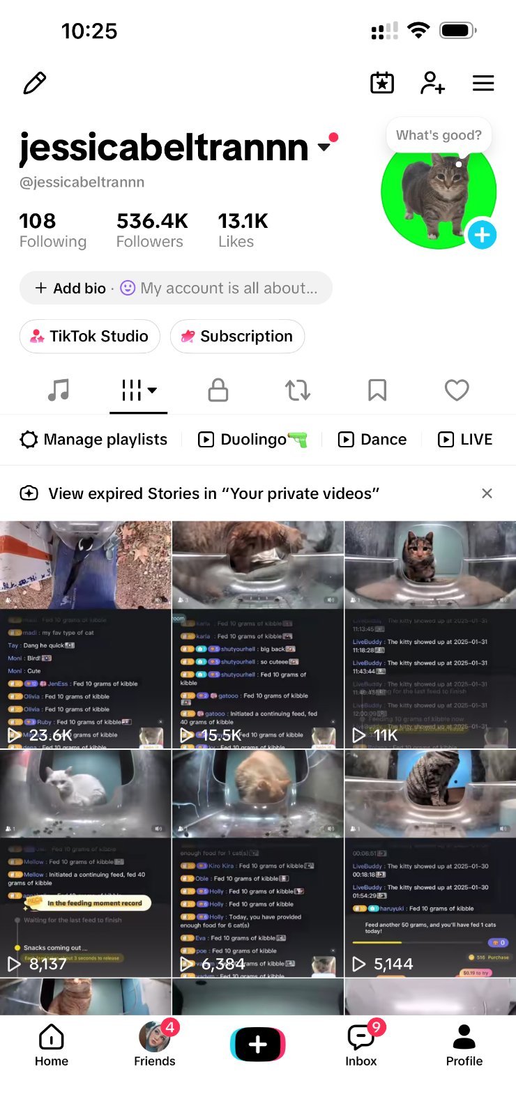 TikTok 500k followers