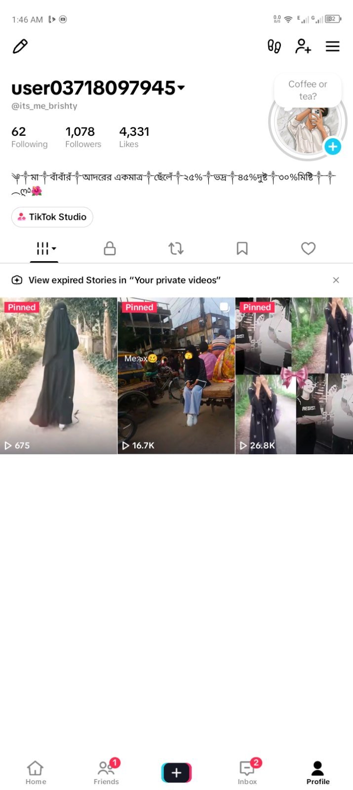 ভিডিও ছাড়াই ভাইরাল হবে TikTok I'd name @its_me_brishty