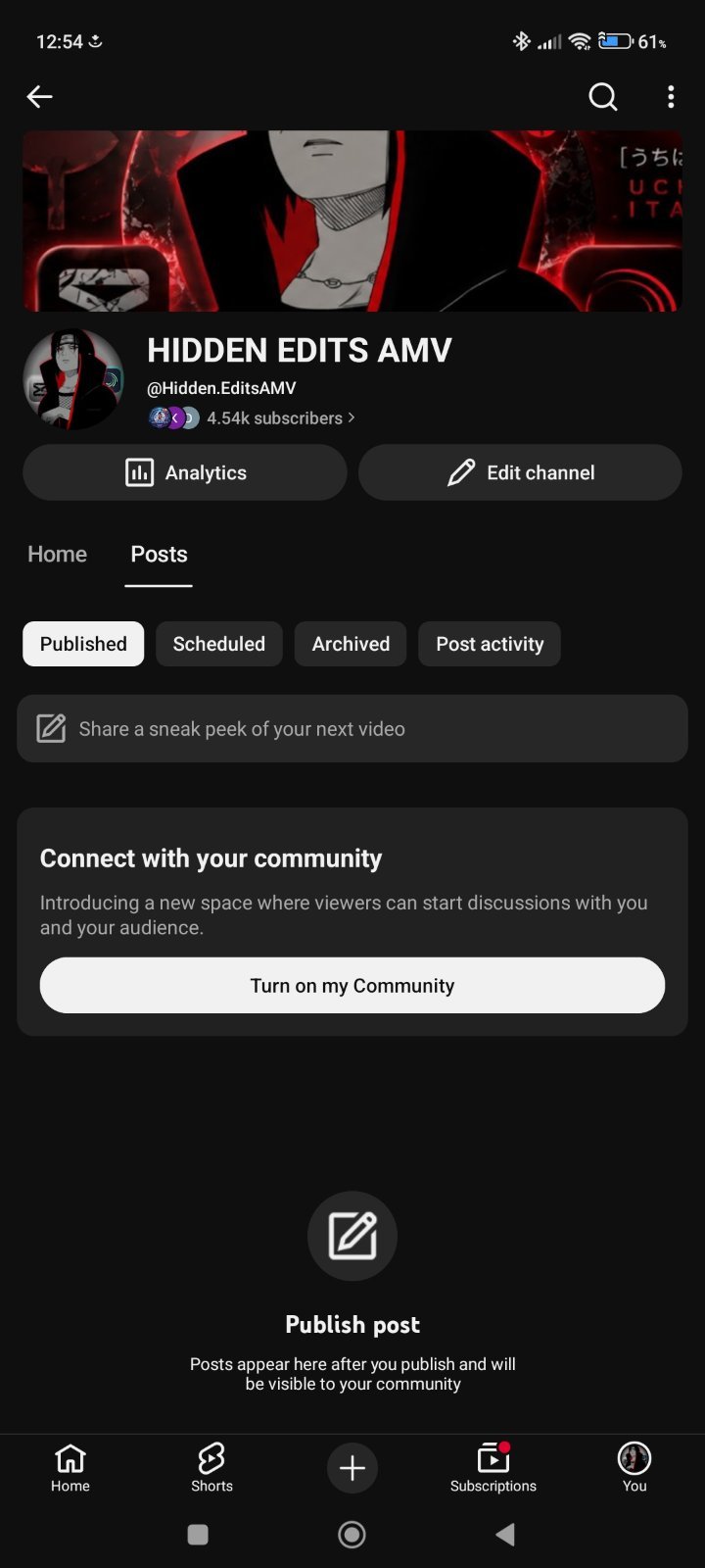 https://www.youtube.com/@Hidden.EditsAMV