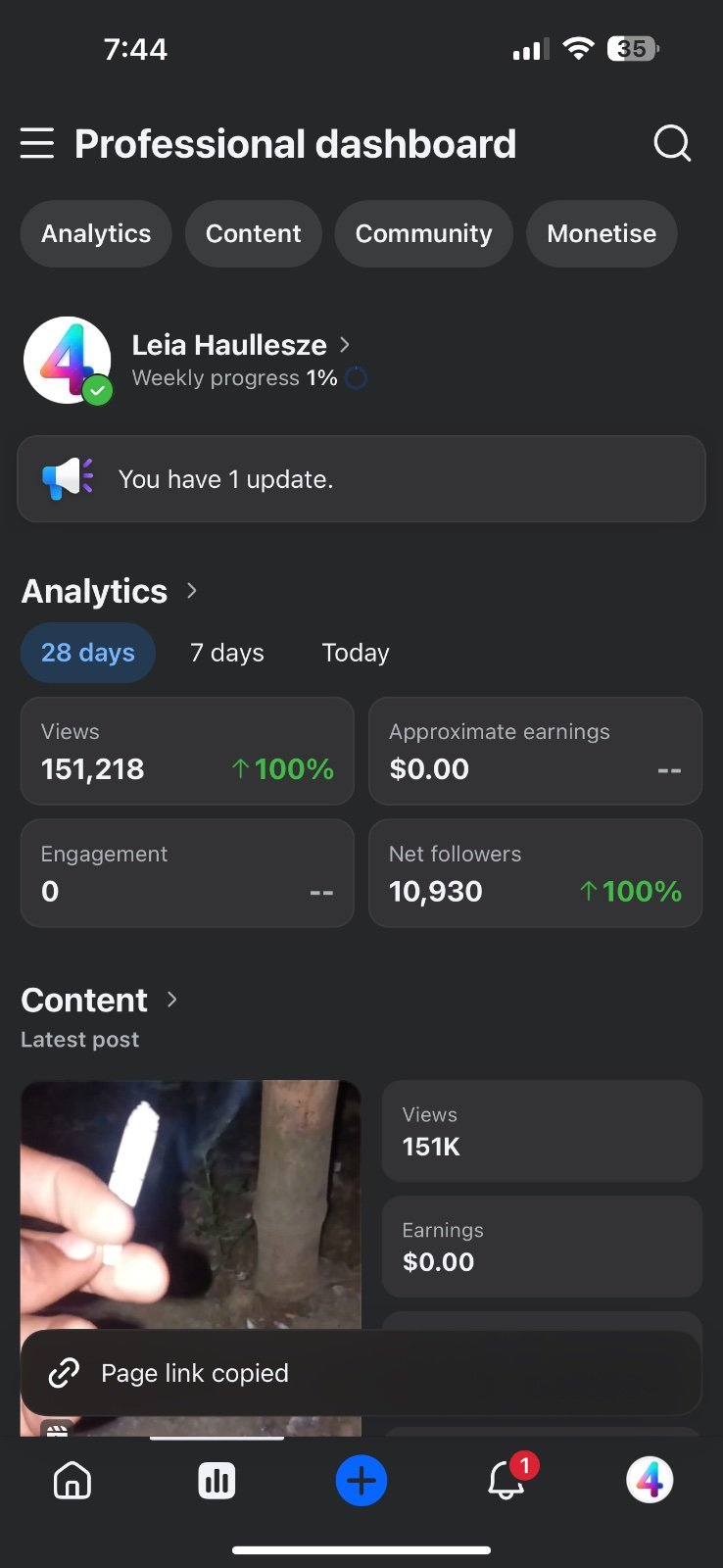 Monetised Facebook Page