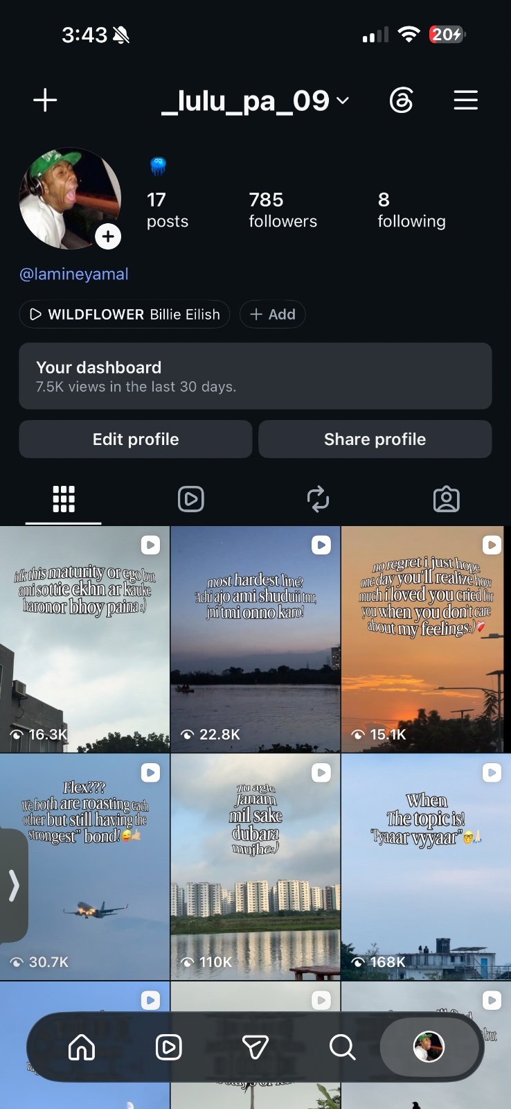 Ig viral id