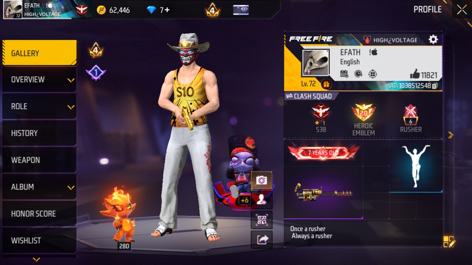 Old id,rare item,season 15,16,17 elite pass ache