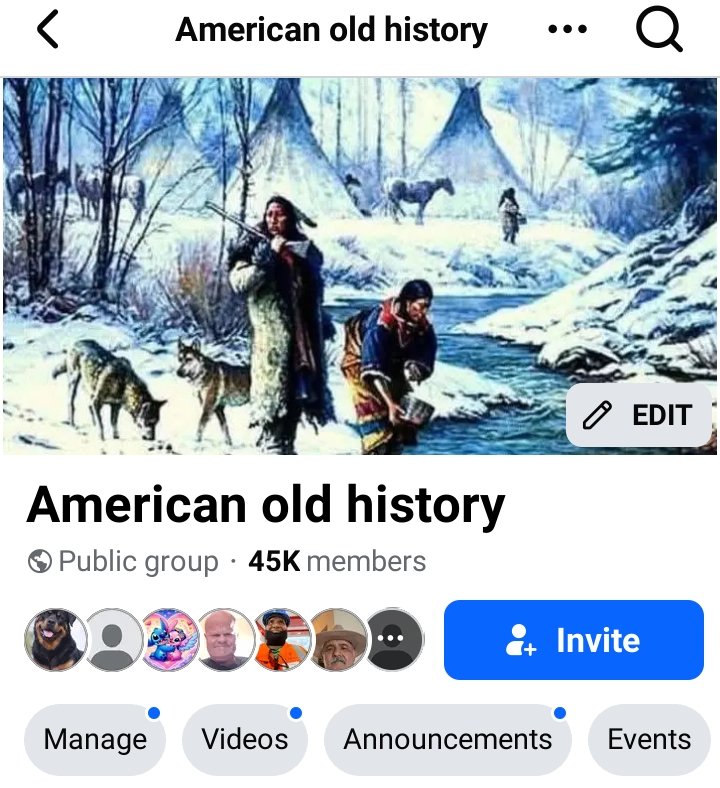 Premium USA Group