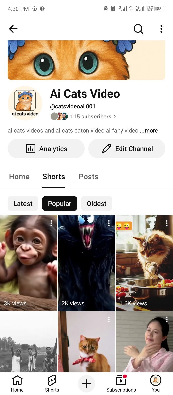 @catsvideoai