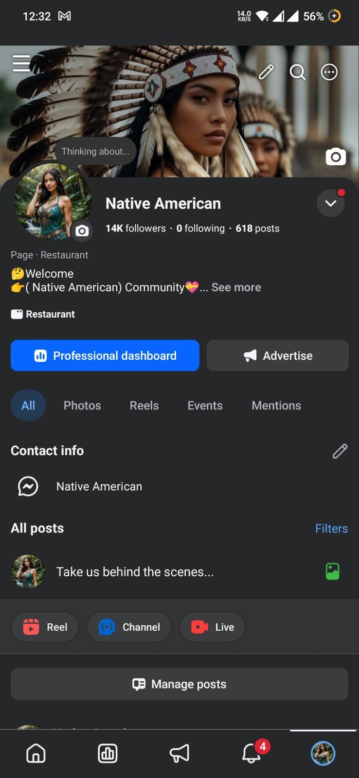 Facebook page in USA Audience
