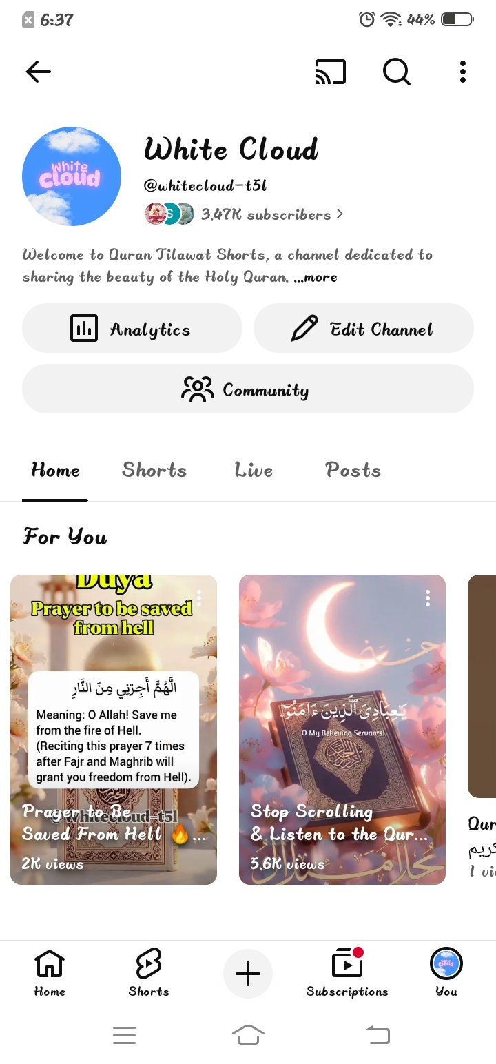 3.47k Subscriber USA Audience Islamic channel