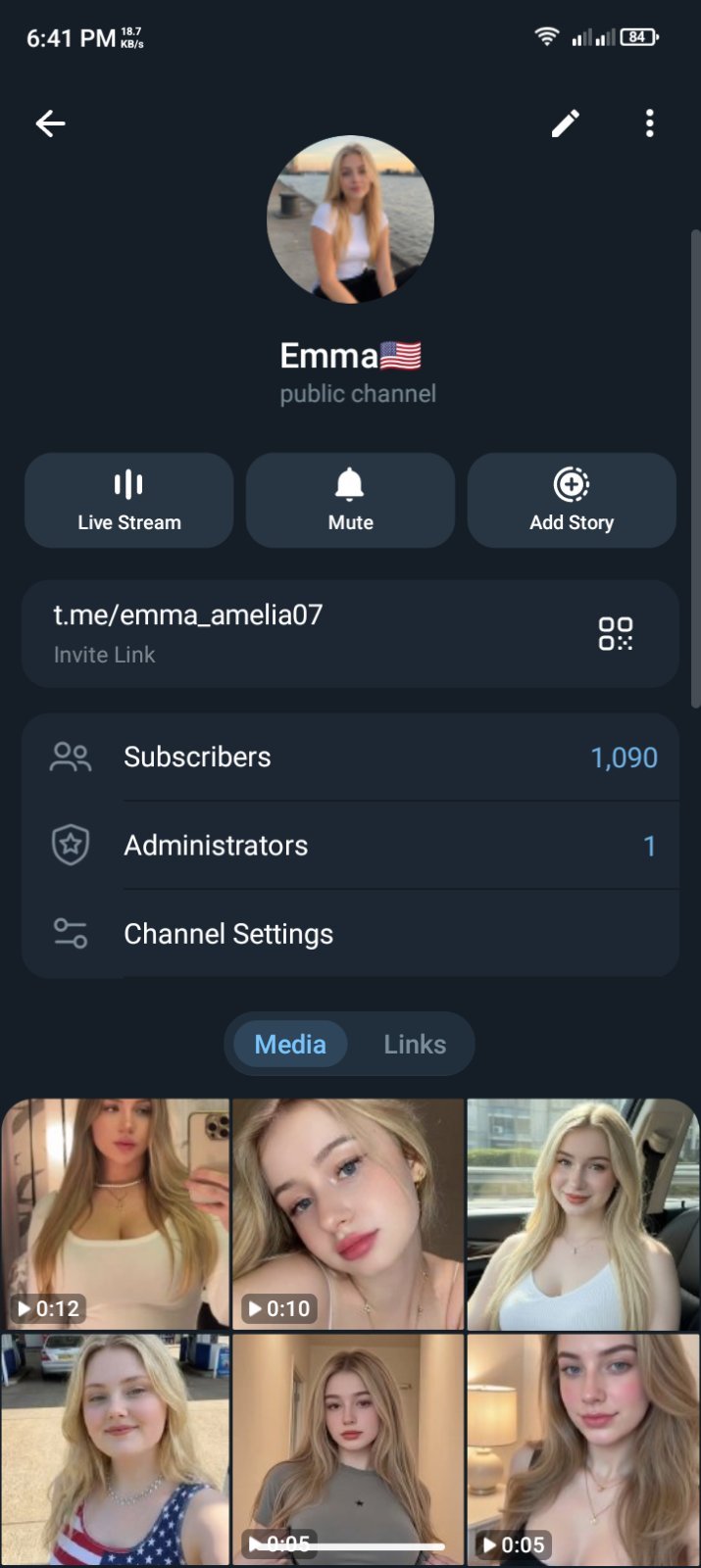 American 🇱🇷 Telegram Channel