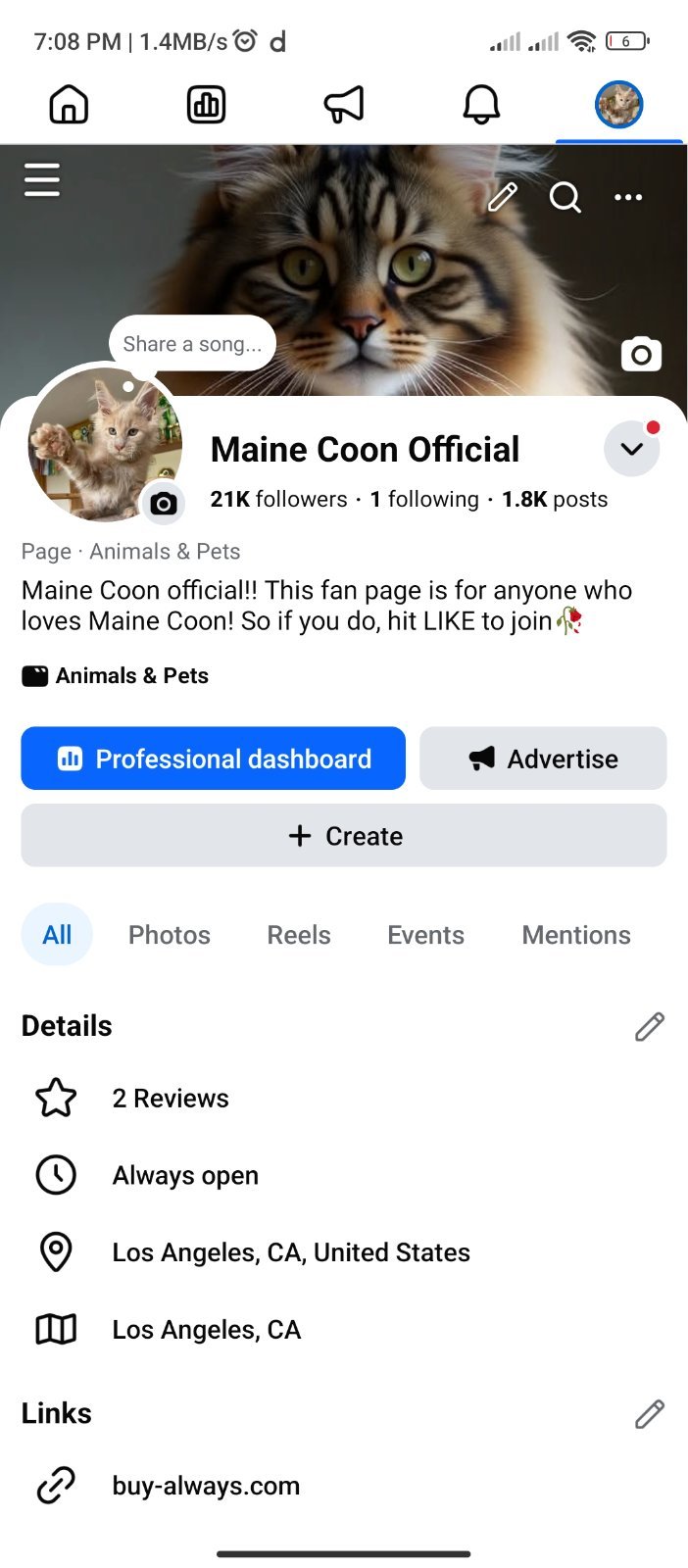 Usa Vairal Cat Page