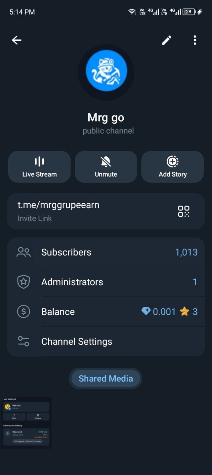 1k members Monitized Channel