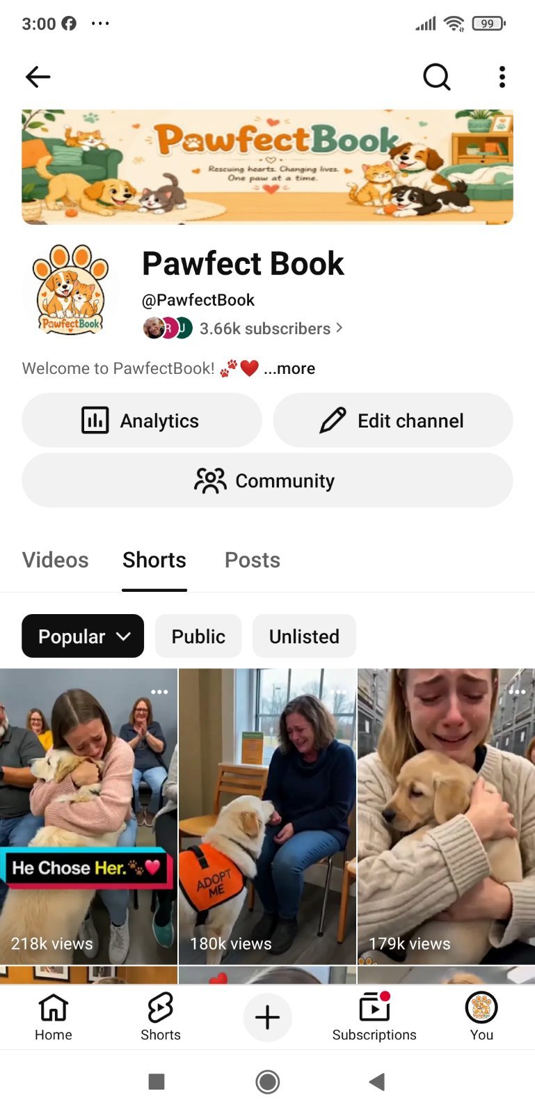 USA audience base channel
