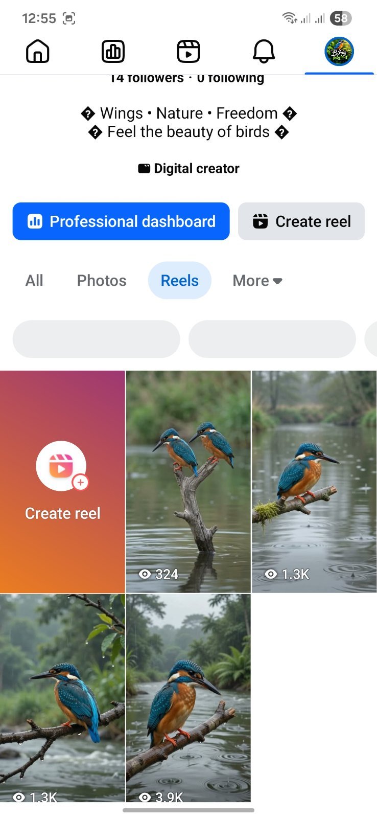 রানিং পেজ