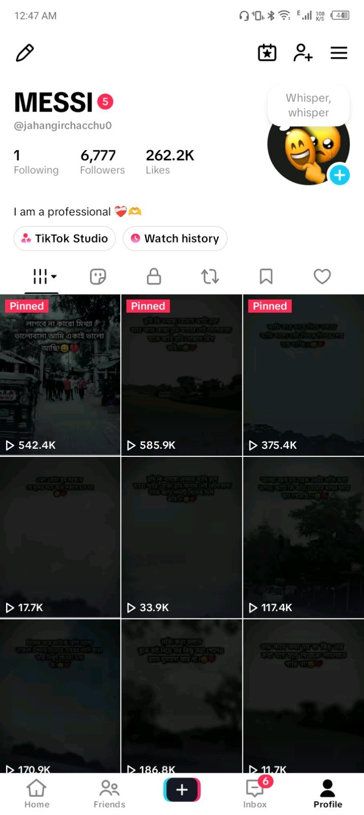 TikTok Account -6.777 K Followers, 262.2K Likes