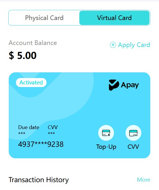 Reloadable Visa Card