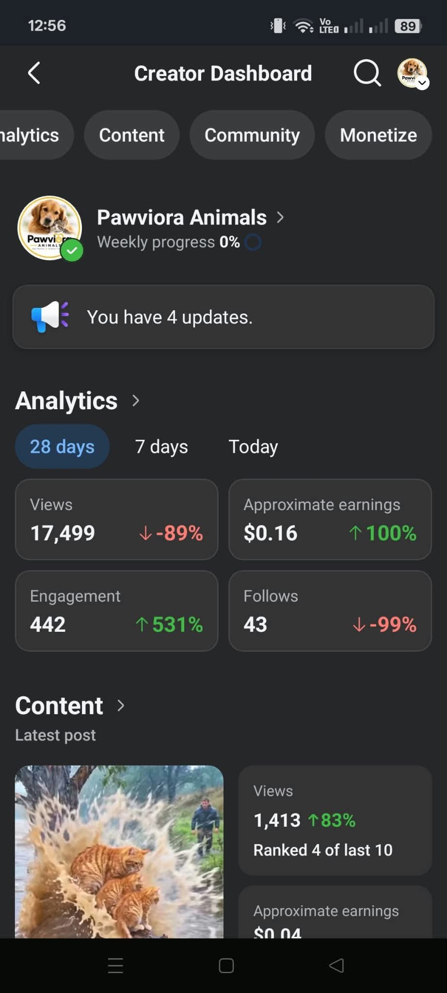Screenshot 4