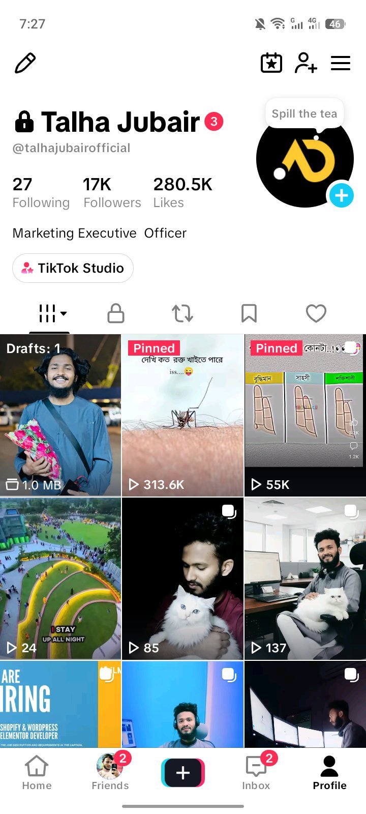 TikTok 17k Followers ID Sell