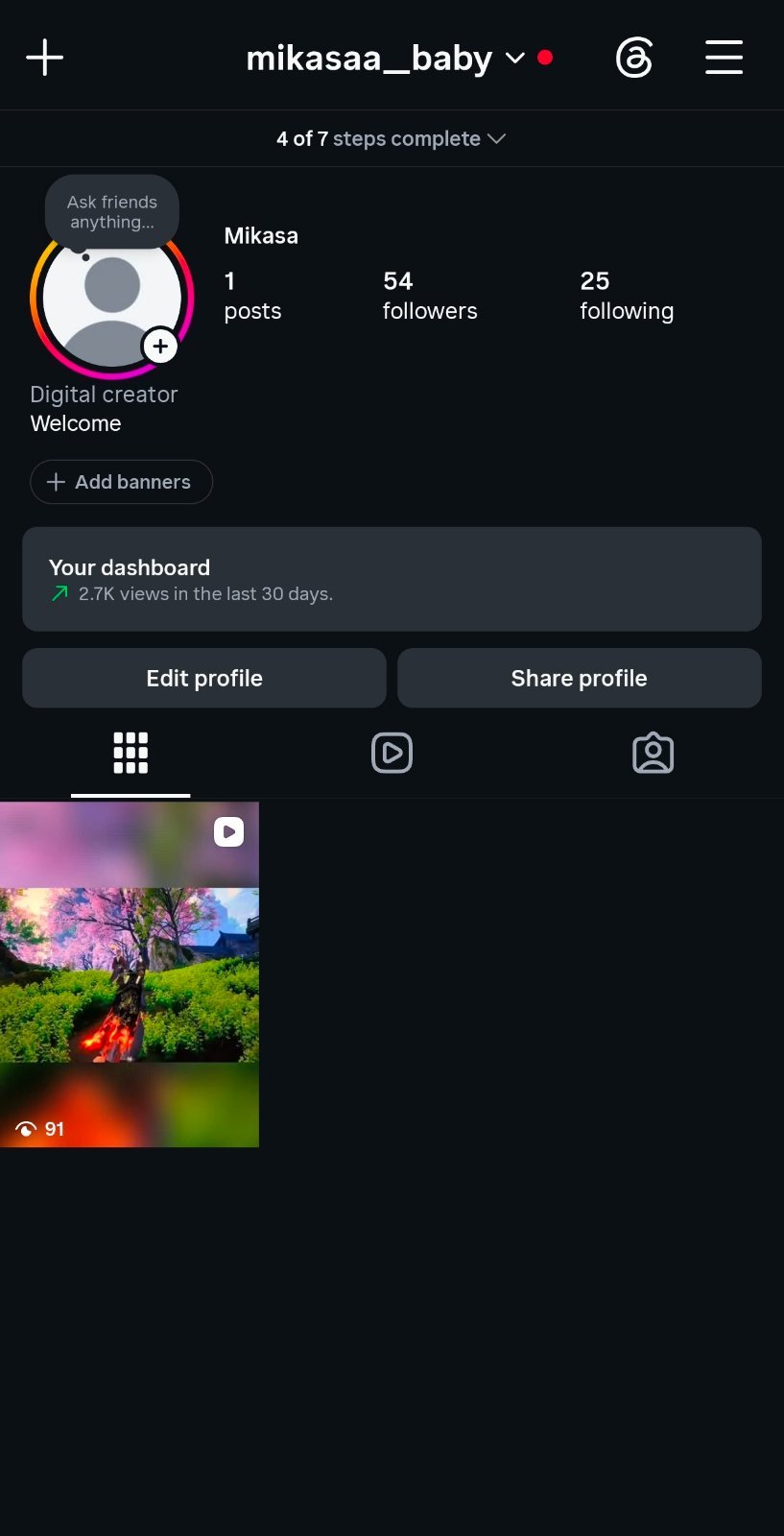 Instagram - 54 Followers