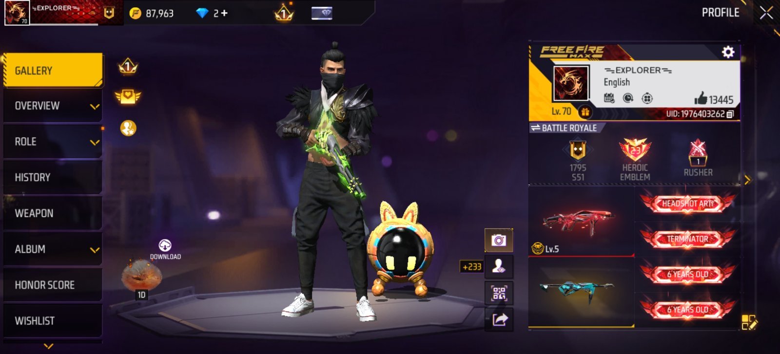 70 Level Account With Good collection