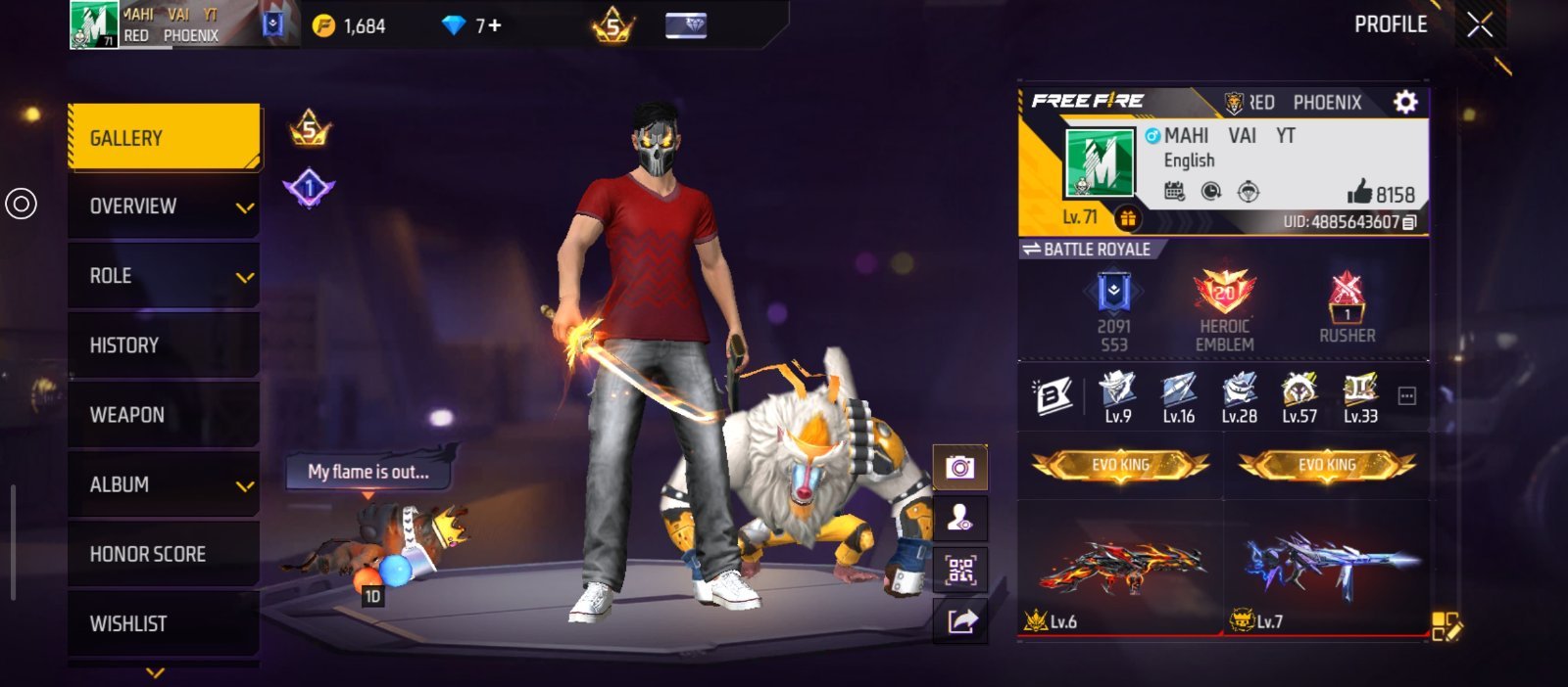 Prime 6 almost id good collection and gun 13 Evo gun 1 Max 2 Evo 6 level
